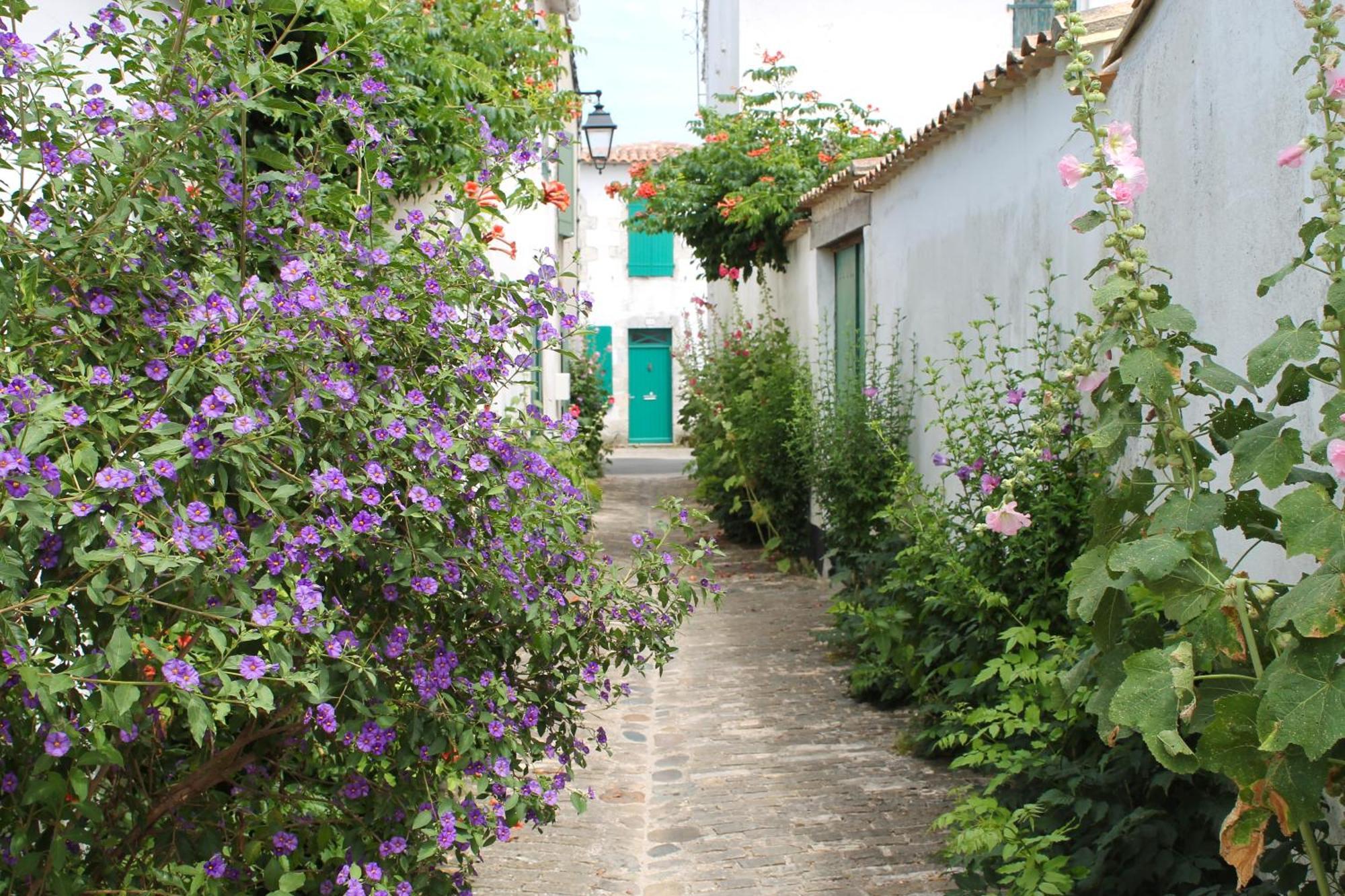 Le Clos Des Vieux Moulins La Flotte Exterior photo